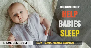 Lavender Scent for Baby Sleep: Benefits, Safety, and Tips