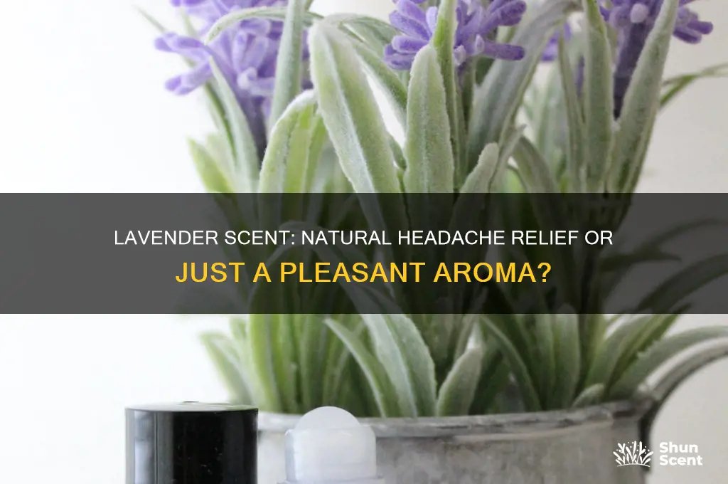 does lavender scent help headaches