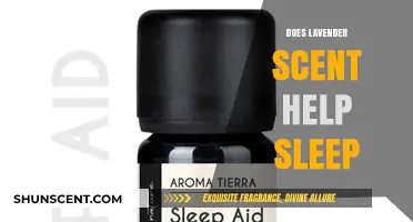 Lavender Scent and Sleep: Unlocking the Secrets to Better Rest