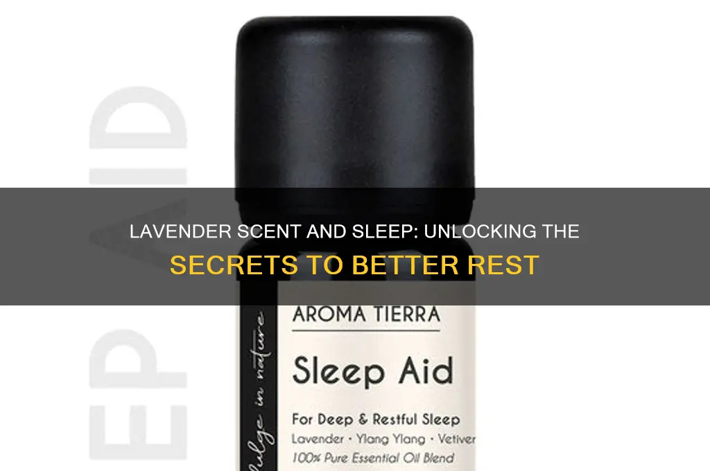 does lavender scent help sleep