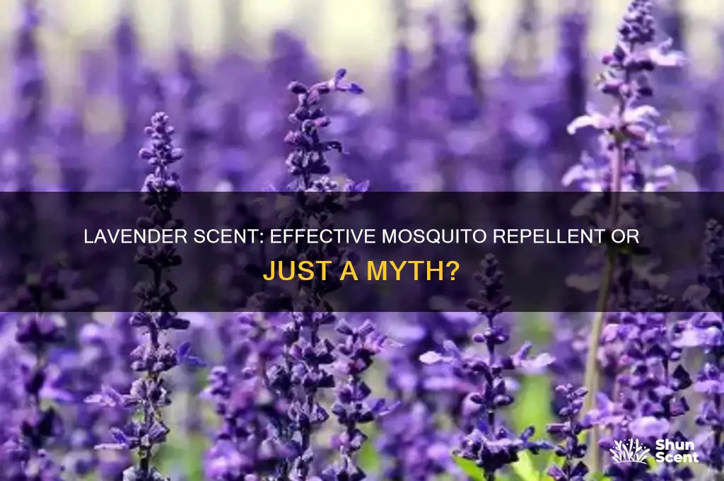 does lavender scent keep mosquitoes away