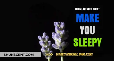 Lavender's Soothing Power: Can Its Scent Really Induce Sleep?
