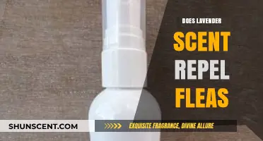 Lavender Scent: A Natural Flea Repellent or Just a Myth?