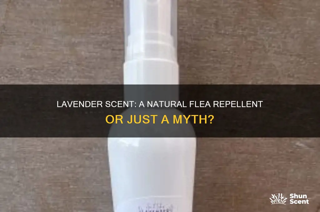 does lavender scent repel fleas