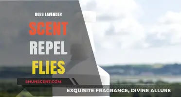 Lavender Scent: Natural Fly Repellent or Just a Pleasant Aroma?