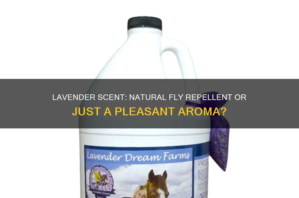 does lavender scent repel flies