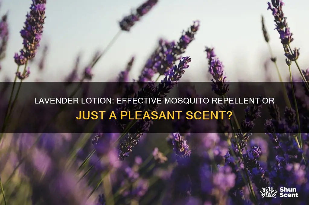 does lavender scented lotion repel mosquitoes