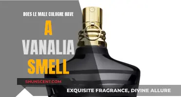 Le Male Cologne: Vanilla Notes for Men?