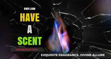 Does Lead Have a Scent? Unraveling the Truth Behind the Myth