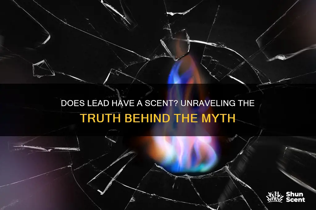does lead have a scent