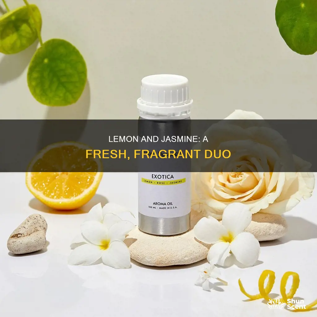 does lemon and jasmine perfume