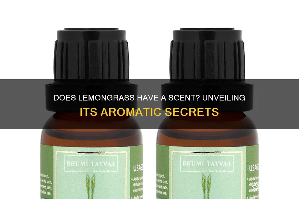 does lemon grass have a scent