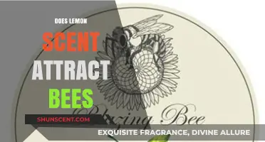 Does Lemon Scent Attract Bees? Uncovering the Truth Behind the Aroma