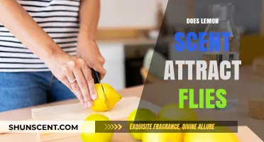 Lemon Scent and Flies: Does the Aroma Attract or Repel?