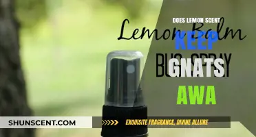 Lemon Scent: Effective Gnat Repellent or Just a Myth?