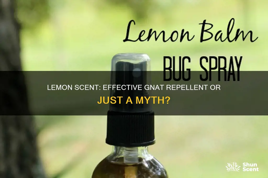does lemon scent keep gnats awa