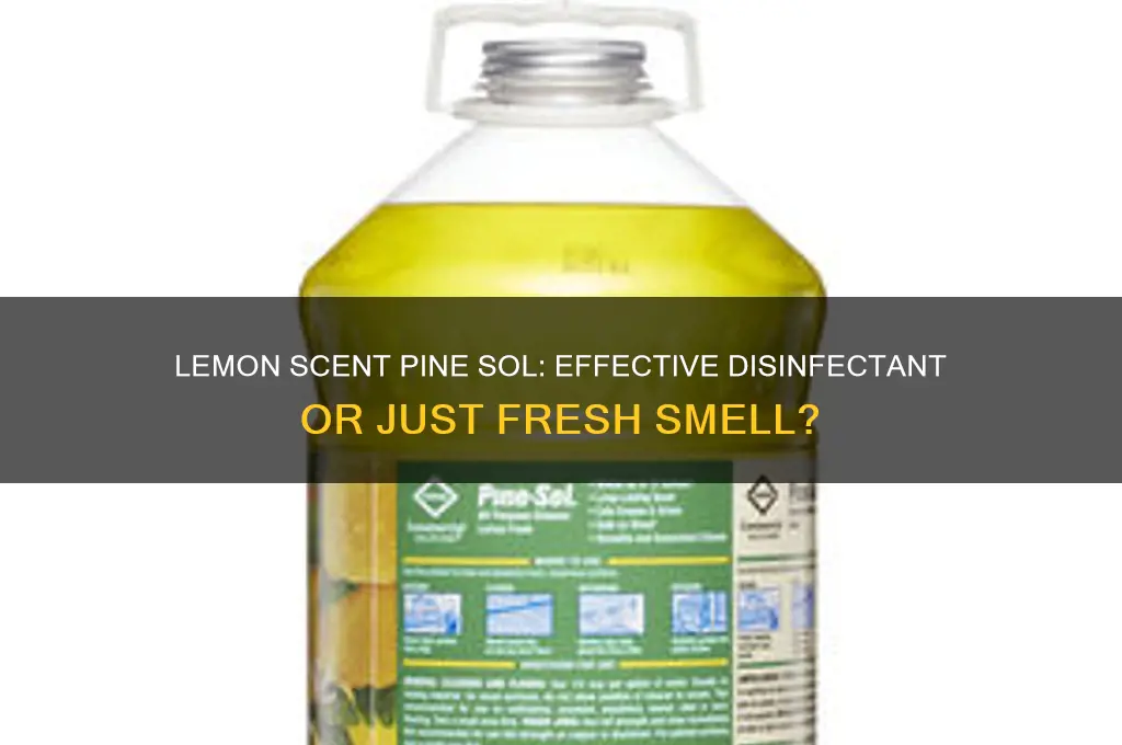 does lemon scent pine sol disinfect