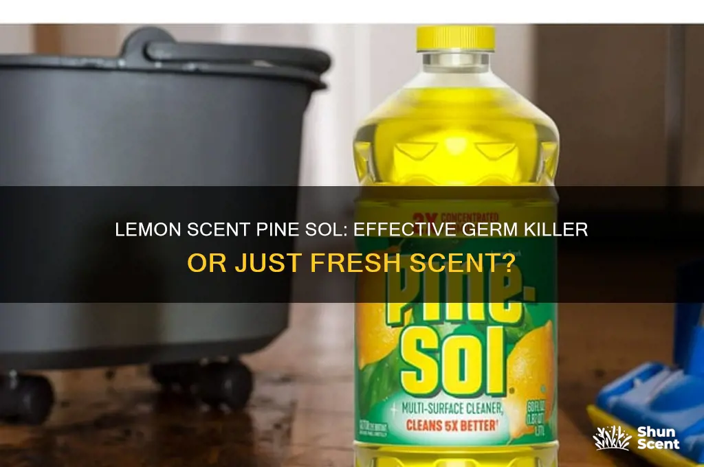 does lemon scent pine sol kill germs