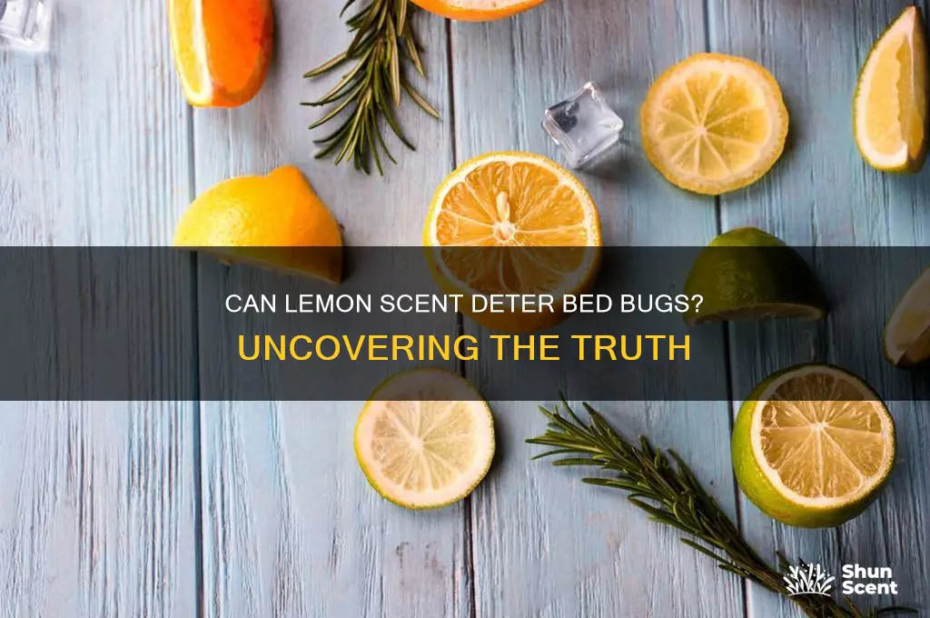 does lemon scent repel bed bugs