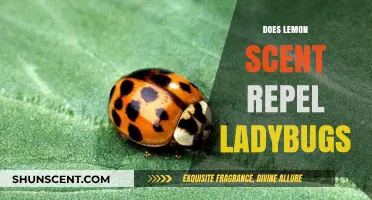 Lemon Scent and Ladybugs: Does the Aroma Keep Them Away?