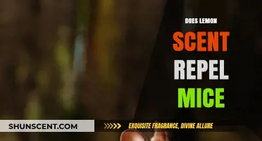 Lemon Scent as a Mice Repellent: Fact or Fiction?
