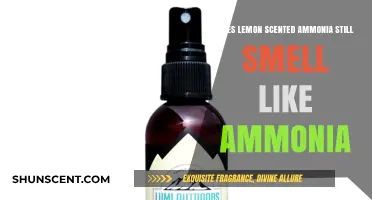 Does Lemon Scented Ammonia Mask the Classic Ammonia Odor?