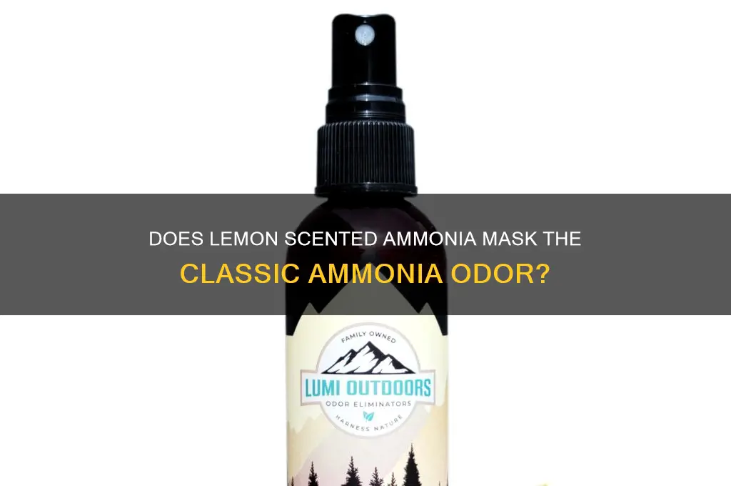 does lemon scented ammonia still smell like ammonia