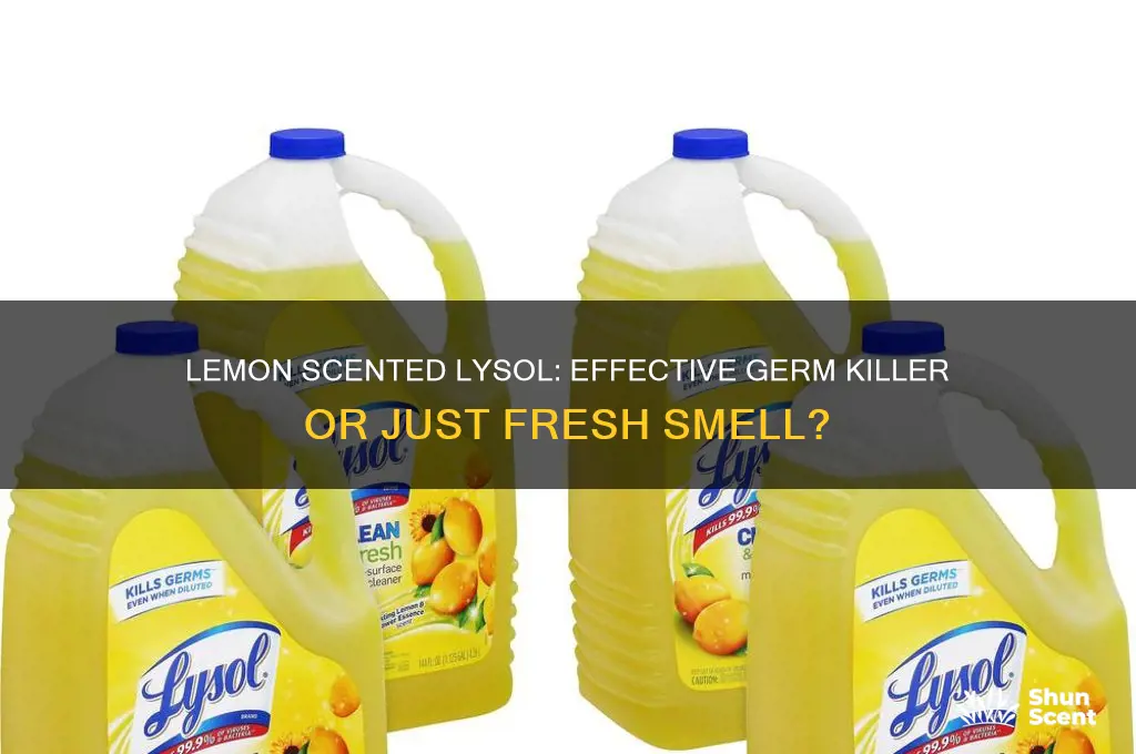 does lemon scented liquid lysol kill germs