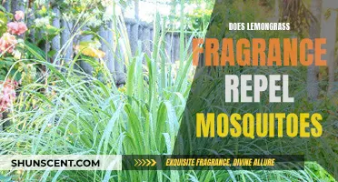 Lemongrass Fragrance: A Natural Mosquito Repellent?