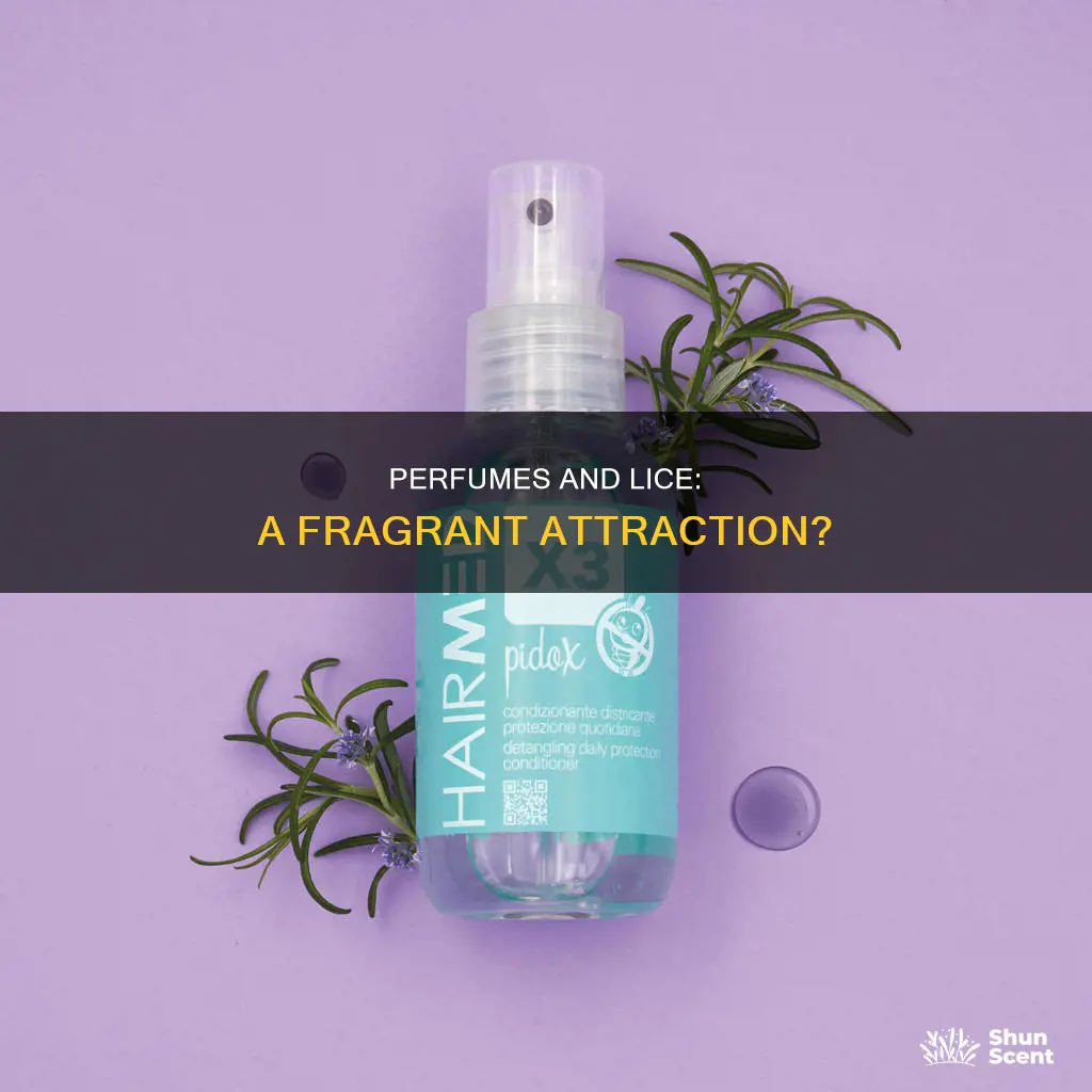 does lice like perfume