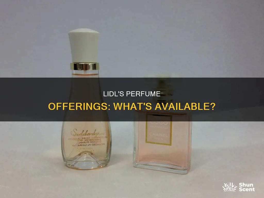 does lidl sell perfume