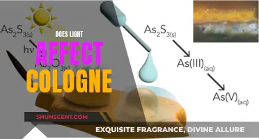 How Light Affects the Scent of Your Cologne