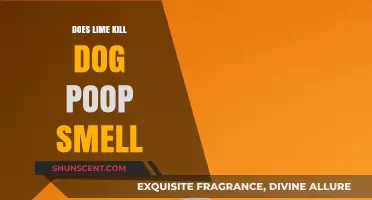 Freshen Up Your Yard: Does Lime Really Neutralize Dog Poop Odor?