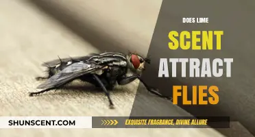 Does Lime Scent Attract Flies? Uncovering the Truth Behind the Myth