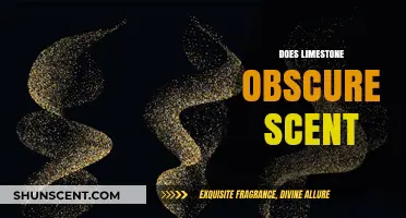 Limestone's Impact on Scent Perception: Uncovering the Obscuring Effect