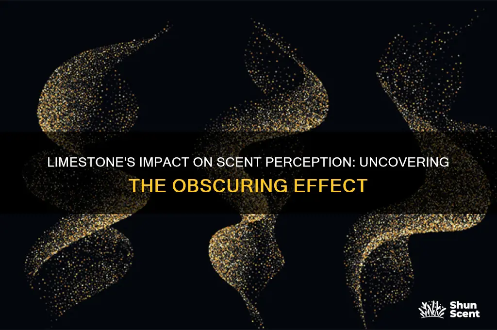 does limestone obscure scent