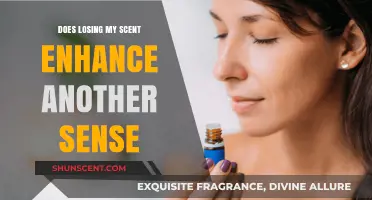 Losing My Scent: Unveiling the Sensory Shift in Perception