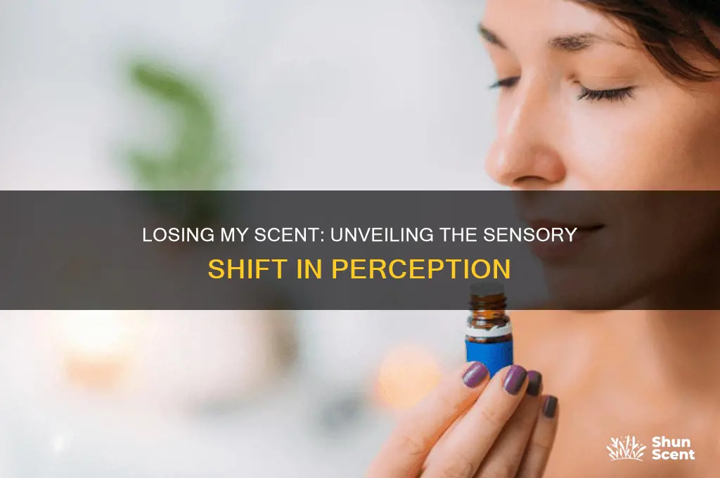 does losing my scent enhance another sense
