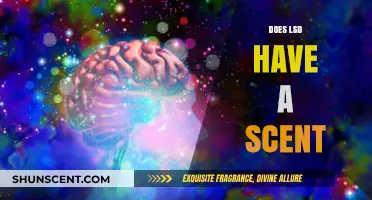 Does LSD Have a Scent? Unraveling the Mystery of Its Odor