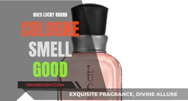 Lucky Brand Cologne: Does it Smell Good?