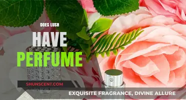 Lush Solid Perfumes: Scents That Last