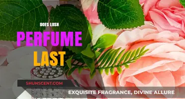Lush Perfume: How Long Does the Scent Really Last?