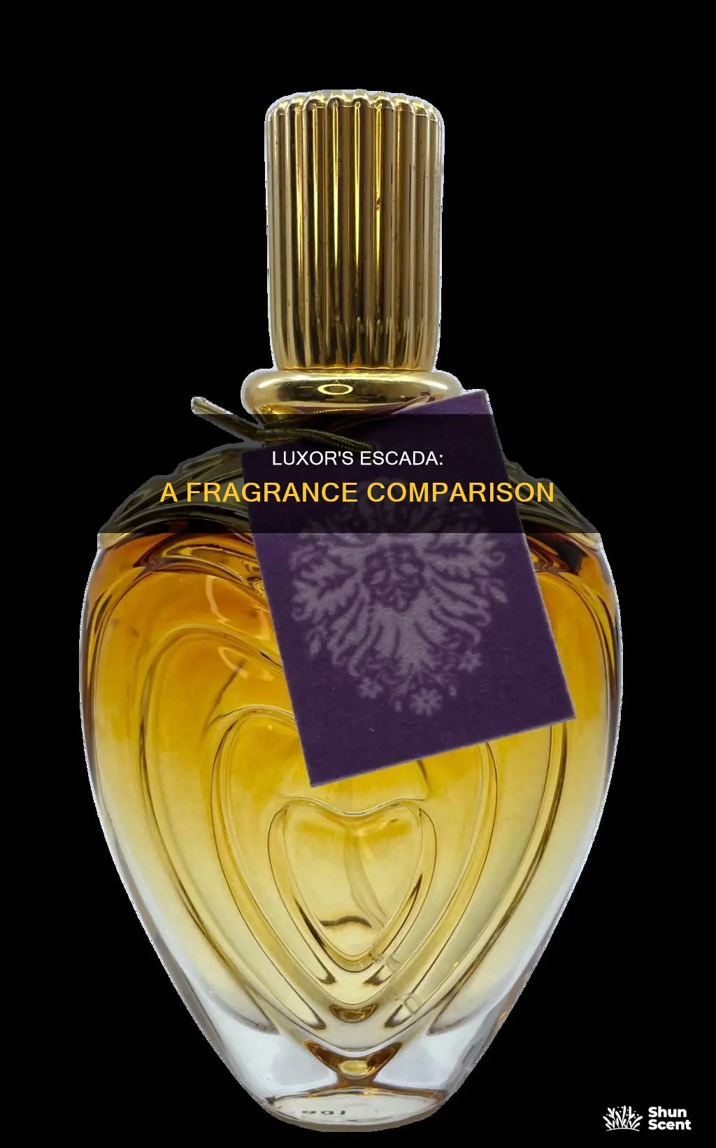 does luxor fragrances have escada