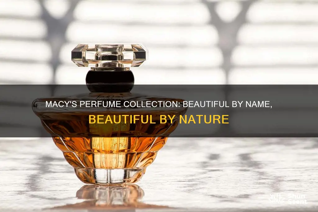 does maceys sell perfume beutiful