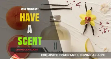 The Aromatic Appeal of Mahogany: Unveiling Its Unique Scent