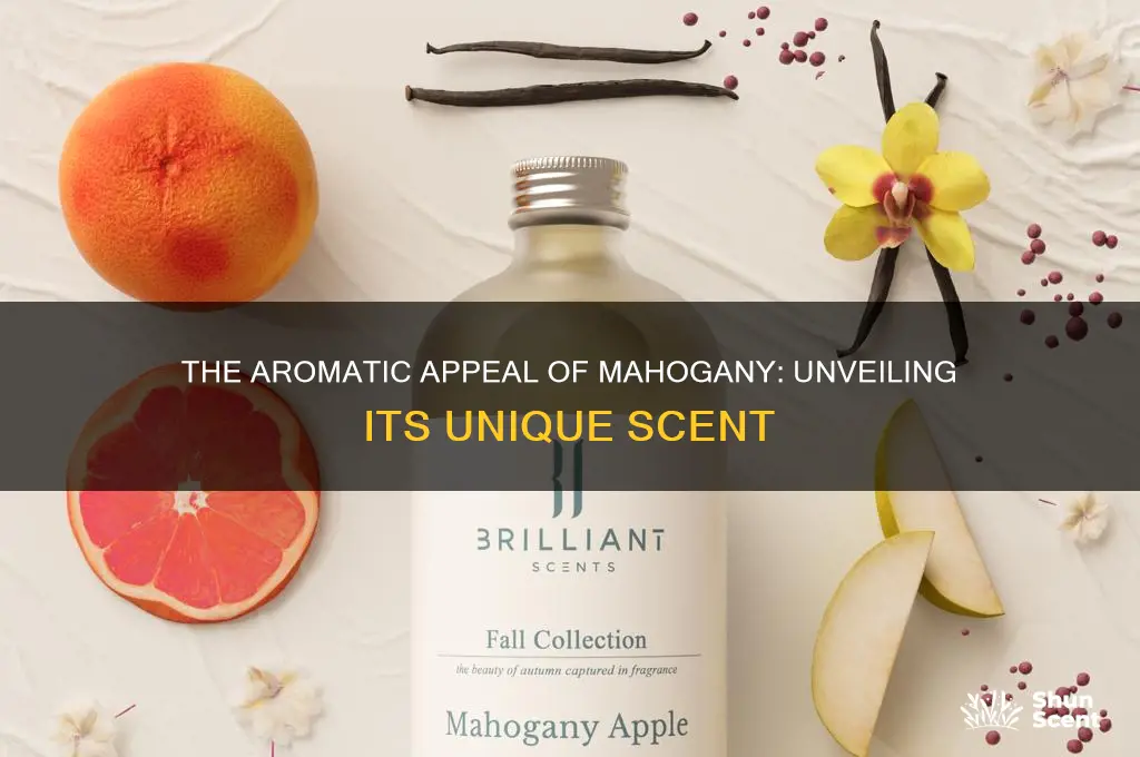 does mahogany have a scent