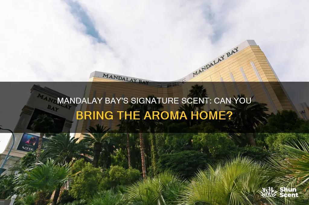 does mandalay bay sell their scent