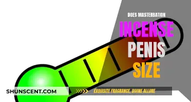 Masturbation's Impact: Penis Size, Truth or Myth?
