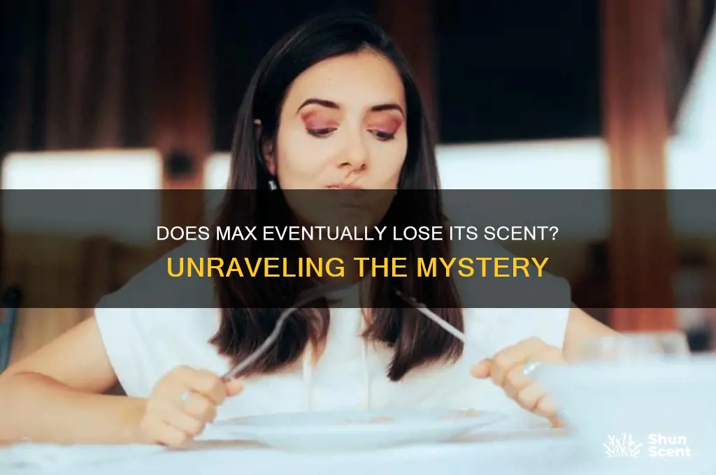 does max eventually lose its scent