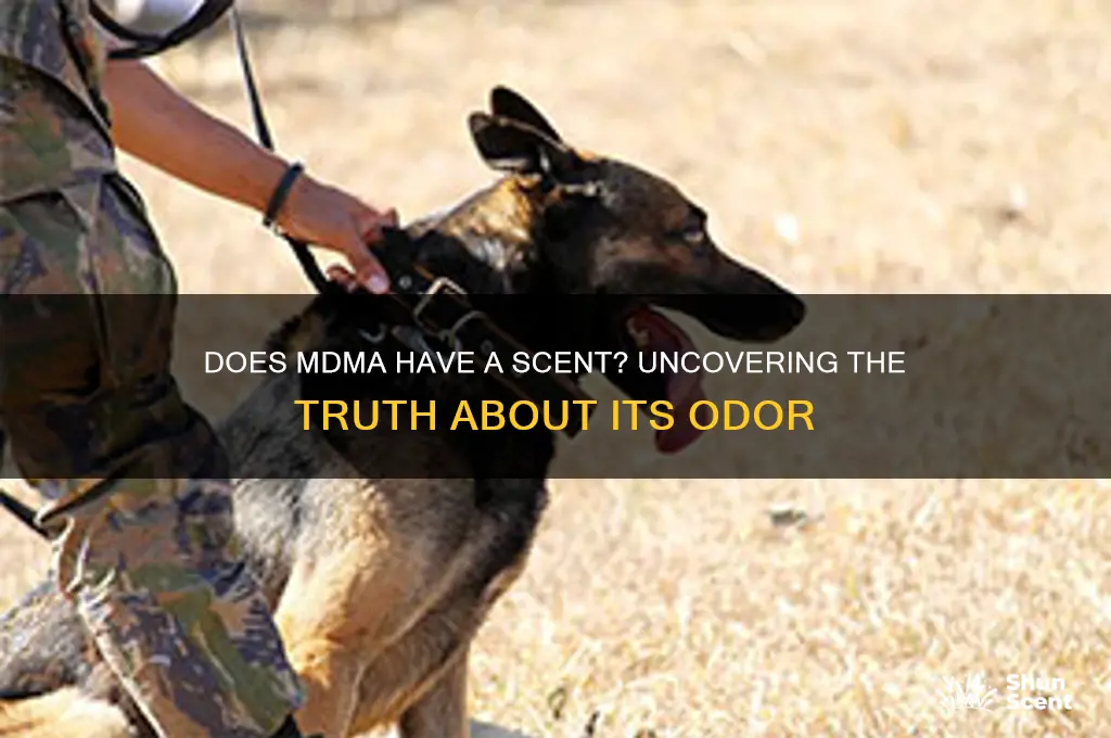 does mdma have a scent